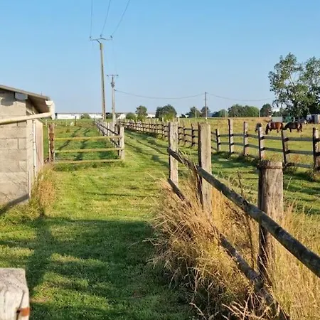 Vue Mer, Terrasse, Nature, Poney A Disposition Chalet