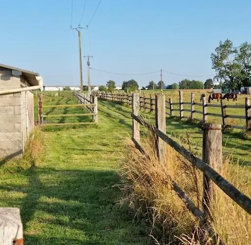Vue Mer, Terrasse, Nature, Poney A Disposition Chalet