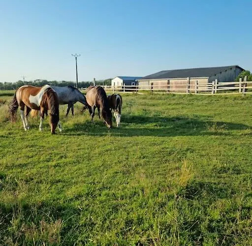 Chalet Vue Mer, Terrasse, Nature, Poney A Disposition *