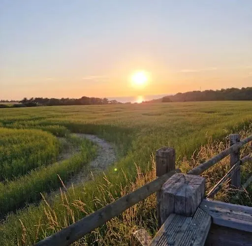 Vue Mer, Terrasse, Nature, Poney A Disposition *