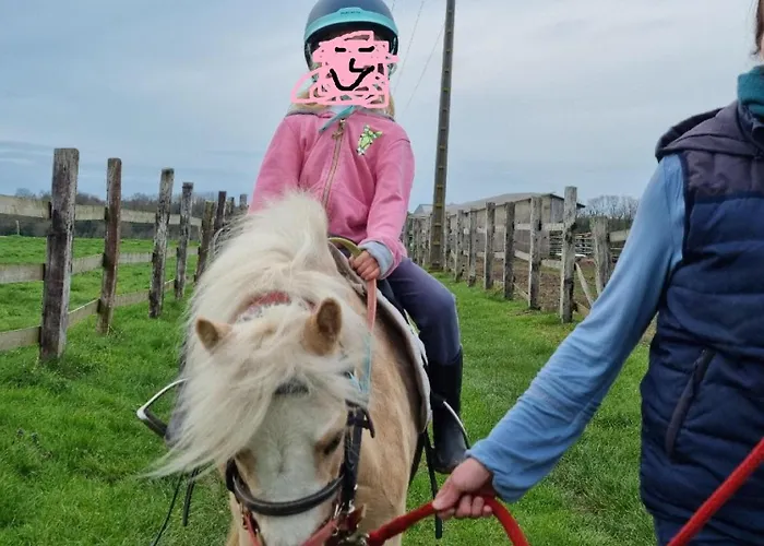 Vue Mer, Terrasse, Nature, Poney A Disposition * Dieppe