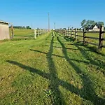 Vue Mer, Terrasse, Nature, Poney A Disposition * Dieppe