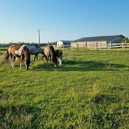 Chalet Vue Mer, Terrasse, Nature, Poney A Disposition *