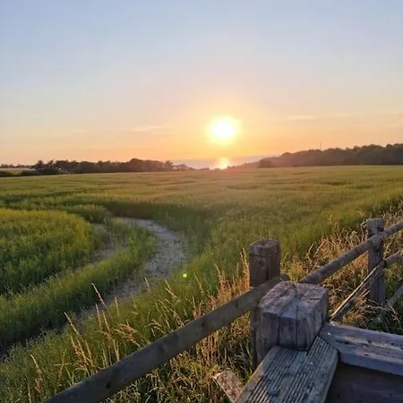 Vue Mer, Terrasse, Nature, Poney A Disposition *