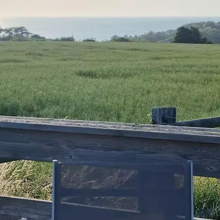 Vue Mer, Terrasse, Nature, Poney A Disposition