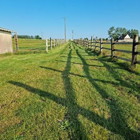 Vue Mer, Terrasse, Nature, Poney A Disposition * 디에프