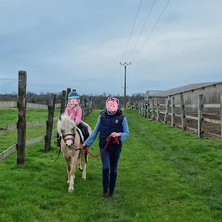 Vue Mer, Terrasse, Nature, Poney A Disposition 디에프