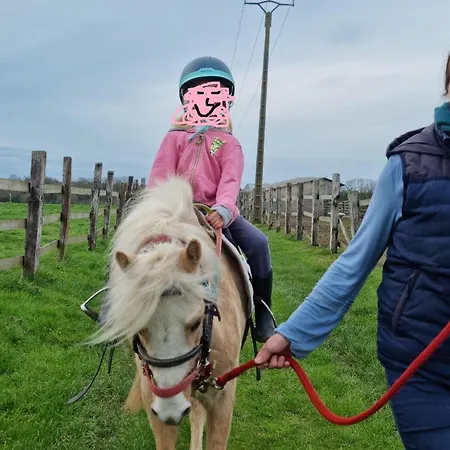 Vue Mer, Terrasse, Nature, Poney A Disposition * 디에프